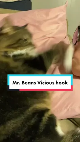 I usually don’t complain about the smacks, but the sound of toe beans smacking my face at mach 2 was painfully loud. #maincoon #skippitypaps #toebeans #catsoftiktok #cat #blort 