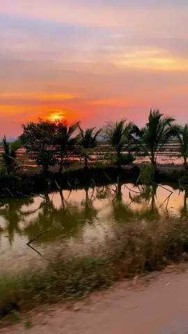 #CapCut #HoàngHôn #videocảnhđẹpchill #canhdep #65cantho #fypシ #xuhuongtiktok #mientay #binhyen 