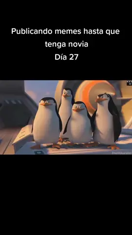 #aaaaaaaaaaaaaaaaaaaaaaaaaaaaaa #soltero #lentejas #paratiiiiiiiiiiiiiiiiiiiiiiiiiiiiiii #foryou #parati #fyp #pinchetiktokponmeenparati #bruh 