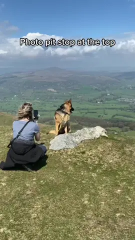 Worth it for the views at the top 🙌 🤩 You can get 15% off at @hohem_global with our discount code: TK15OFF - link in bio! #gsd #tiktokdogs #dogsoftiktok #Hiking #walkies #germanshepherd 