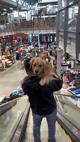 They called it a “askalater”… am not a fan. #fyp #forypupage #dogsoftiktok 