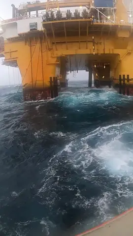 Free bath😂 #ocean #seaman #sealife 