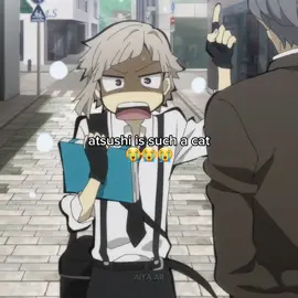 my birthday boy I love him sm #bsd #bungoustraydogs #bungostraydogs #bsdseason4 #bungoustraydogsseason4 #atsushi #atsushinakajima #fy #fyp #foryoupage 