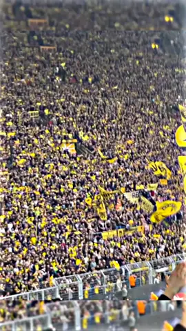 Dortmund fans incredible 🥶🔥 #viral  #dortmund  #fouryou  #bundesliga 