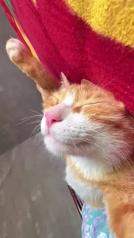 🥰