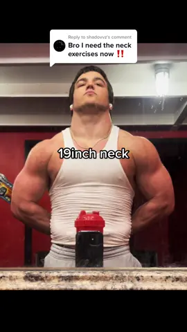 Replying to @shadovvz These are the only excercises I do for neck 🦍 #neckgains #powerlifting #gym #GymTok #wrestling 