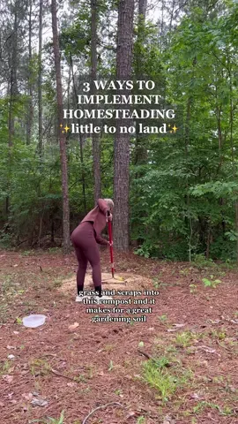 PT. 1 | Beginner friendly homestead tips 🐓 Let me know if this was helpful and if you want a PT. 2! 🫶🏾 #homesteading #homestead #homesteadtoktok #homesteadlife #homesteadtiktok #homesteader #blackhomesteader #blackhomesteaders #blackhomesteadersoftiktok #sourdough #blackfarmers 
