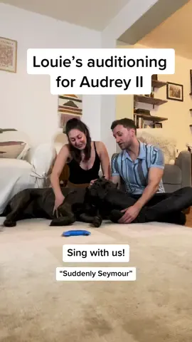 Our first trio! Presenting: SINGING WITH LOU - “Suddenly Seymour” Little Shop of Horrors #broadway #belting #musicaltheatre #singingdog #singingdogchallenge #littleshopofhorrors #suddenlyseymour #dogsoftiktok 