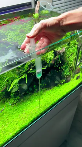 Recharging the exausted year old substrate #aquascape #plantedtank #aquarium #tiktok #fyp #oase #plantedaquarium #aquariumhobby #aquascaping #tropica #freshwateraquarium #seachem 