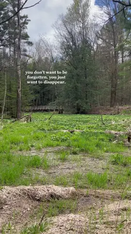 spring & lana <3 #lanadelrey #lanatok #videodiary #fyp #foryou #lanadelreyedit #aesthetic 