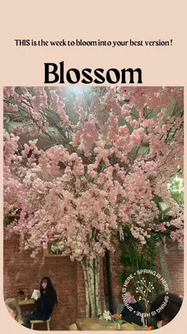 Full moon in Scorpio #5555 portal #release #stepintoyourbestversion #takebackyourpower #may52023 