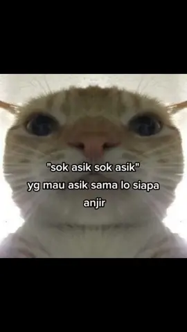 #fyp