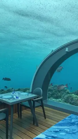#مالديف 