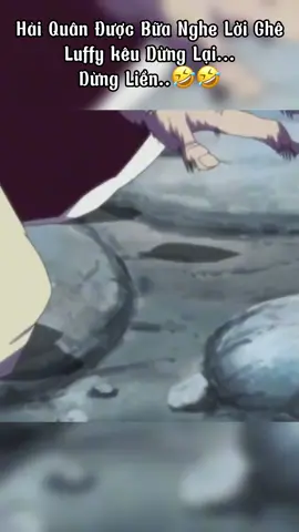 ACE said: Thằng này là thằng nào..🤣🤣 #79khanhhoa #onepiece #anime #luffy 