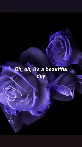 Jonathan Roy - Beautiful day #music  #jonathanroy #beautifulday  #foryou #fyp 