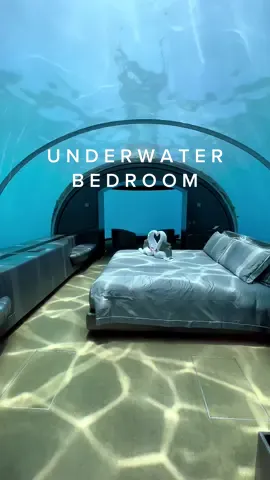 The worlds first underwater hotel in the Muraka, as part of the Conrad Maldives resort 🌊 Submerge yourself into your own private underwater aquarium 16 feet below sea level. 🛏️ #travelmarketing #videocontent #TravelTikToks #TravelDestinations #LuxuryLifestyle #hotelmarketing #hotelcontent #maldives #bucketlist #underwatertiktok #viral 