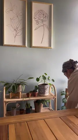 saturday moments 🌿 #thingsilove #wholesomemoments #plants #plantsoftiktok #planttiktok #planttiktoker #plantlover #plantwatering #saturdaymoments #SelfCare #saturday #wellnesscontent #wholesomecontent #selflove #alonetime 