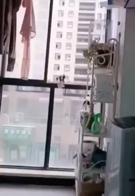 #cuteanimals #smartwatch #cutedog #catlover #beer#mouse #snake #animal 