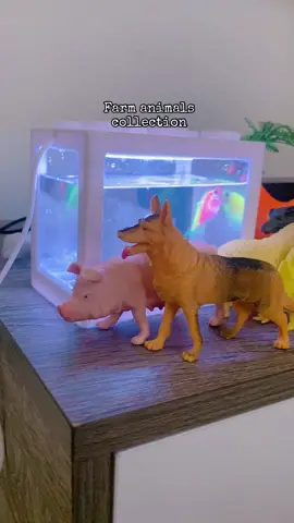 Morning playtime ✨☀️ #toddlersoftiktok #playtime #toycollection #farmanimals #fyp #playwithme 