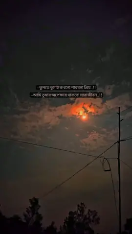 #বিশ্বাস_কর_জান_আমি_তুমার_অপেক্ষায়_থাকব_সারাজীবন #foryou #tik_tok #bangladesh #vairalvideo #mr_rony_29 