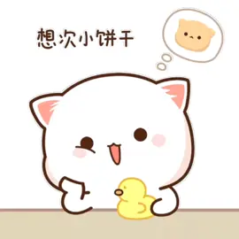 #cat #cute 