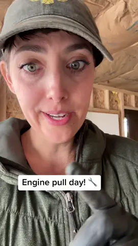 #dailylife #enginepull #motorpull #transamfirebird #transamnation #classiccars #enginerebuild 