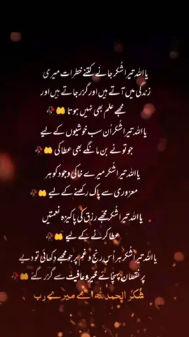 Alhumdulliah for everything #