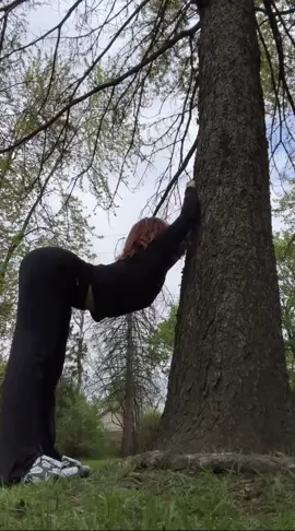 Tree arch