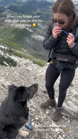We love digger #Hiking #hikingadventures #hikingwithdogs 