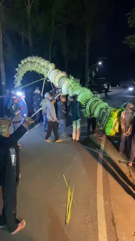 pendirian penjor terbesar di tengger #penjor #penjorbali #tengger #dharmasanthi #pasruanjawatimur #winners 