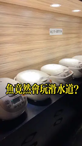 酸菜魚第二次吃了 其實減肥人也可以吃！ 但一定要記得要按照以下方式 - ❶選擇番茄魚  ❷白飯可以點吃半碗就可以 只能吃魚肉與蔬菜類 ❸很膩的時候喝無糖綠茶/水 幫助自己解膩 記住不要喝湯！不要吃油條、不要點炸物 因為這些都會障礙我們減肥 除非炸物有去皮就沒什麼什麼問題 趕快留言跟我分享！ 你做喜歡酸菜口味還是番茄口味？ #瘦身人 #女生必看 #台中美食 #台中魚店 #台中餐廳 #酸菜魚 #番茄魚 #逢甲美食 #台中美食