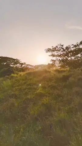 Nature never fails to amaze me with its stunning beauty. #Practice #DJImini3Pro #DroneVideography #Sunset #Naturephotography #Droneview #BeautyofNature #NUVALI