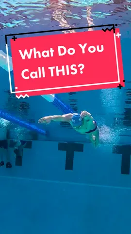 Calling swimmers all around the world! Share what this is in your native language 🌎️ Learn how to do this at the link in our bio #myswimpro #languagelearning #swimming #breaststroke #globaltiktok 