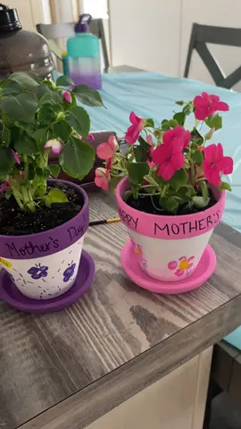 Mothers Day Gift! Flowers $2 each, pot $2 each, and saucer $2 each. We used fingerprints to make the flowers, butterflies and bee. Cheap and easy craft to do with your littles for mothers day! #mothersday #flowers #fingerprint #paint #DIY #craft #toddler #preschooler 