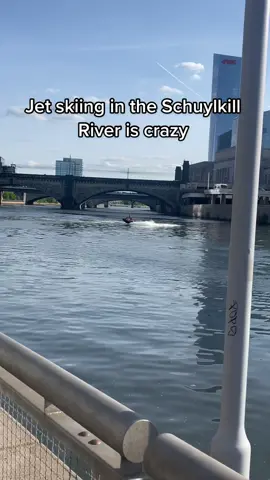 All the fish in the river already got 3 heads, so I feel like even taking a step in the water would at least give you MRSA 🤢🥴 #philly #schuylkillriver #summerinphilly #wooderice 