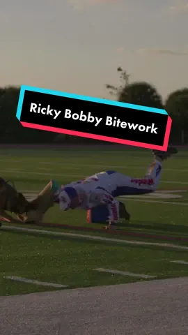 Ricky Bobby Bitework at USPCA #dog #puppy #bitework #gsd #belgianmalinois #dogs #doglover #police #germanshepherd  #fyp   