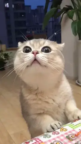 🥰