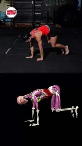 Are you ready to add some flavor to your workout routine?  🤸‍♀️🤸Introducing the Breakdancer Kick #workoutmotivation #breakdancerkicks #abdominalmuscles #exerciseroutine #fitnessmotivation #strengthexercise #muscleandmotion