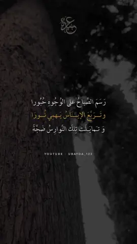 رسم الصباح على الوجوه حبورا | ناصر السعيد .#shorts #ubayda_123 #اناشيد #ناصر_السعيد #حالات_واتس #كلمات 