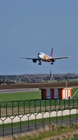 Let Brussels Airlines show you how to make a perfect landing on a320 with Tomorrowland livery 😎 #a320 #airbus #aviation #futurepilot #planespotting #tomorrowland #brussels  #avgeek @Fly Andy ✈️ 