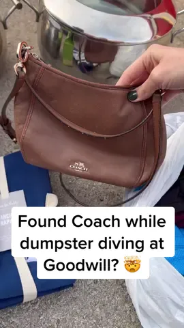 Watch until the end to see what the Vans Store throws away.. #dumpster #dumpsterdiving #vans #insane #glamourddive Check out my website, link in bio! (glamourddive.com)