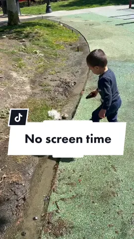 #parenting #screentime #consciousparenting #crazy 