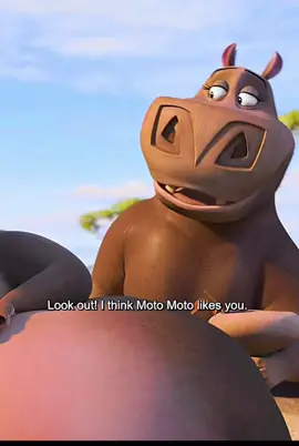 I think Moto Moto likes 🦛you,#madagascar2#fly#foryou#clip#movie#animation#advneture#viral#tiktok 