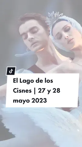 Respuesta a @luciagallardol25 Etiquétalo sin miedo al éxito 👀 ¿Con quiénes te gustaría ir a El Lago de los Cisnes?  #BalletenLima #balletdesanpetersburgo #ellagodeloscisnes #arteenlima #lacupuladelasartes #teatroenlima #planeslima #quehacerenlima #lima #eventosenlima #ballet 