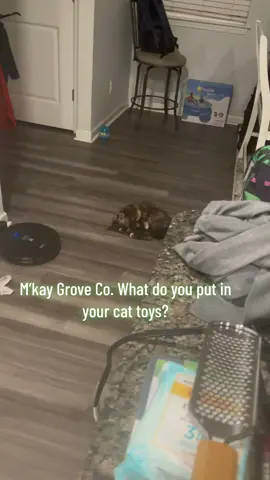 #PetsOfTikTok #catsoftiktok #AlaskaAirCAREoke #SoFiBreakUpChallenge #AEHolidayForever #AVrboForTogether 