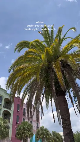 🫶🏻 it here, must add to your summer bucket list! #ameliaisland #fernandinabeach #travelbucketlist #summer2023 #summerbucketlist 