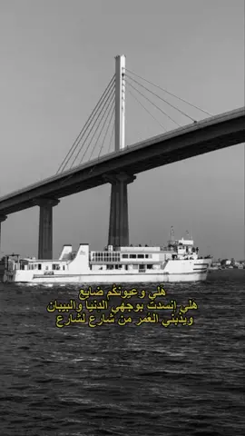 هَـلي ! #اكسبلورexplore #اكسبلور #بغداد_بصرة_موصل_الكويت_الخليج_دبي_ #fyp #fypシ #foryou #شعر_عراقي #شمسين_محمدعبدالجبار #شمسين 