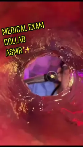 thanks @HushPuppyASMR for putting together this amazing collab! 🥳👩‍⚕️🏥🩺🔦 please check out all of the tagged asmrtists in this!❤️and comment your favorite parts! 🥰 where did you get tingles?✨ #asmr #medicalexamasmr #asmrexam #asmrroleplay #roleplayasmr #doctorroleplay #asmrdoctor #eyeexamasmr #earcleaning #nurseasmr #asmreyeexam #asmrsounds #oddlysatisfying #satisfying #satisfy #satisfyingvideo #whisper #tingles 