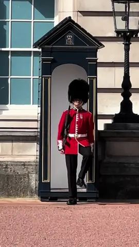 King’s Guard at Buckingham Palace  #foryou #horseguardsparade #kingsguard  #viraltiktok  #buckinghampalace #London #horse #horseriding #animals #fyp 