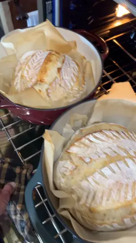 Toot Toot 😂😂 #lol #soudoughbread #sourough #freshbread #sourdoughscoring 